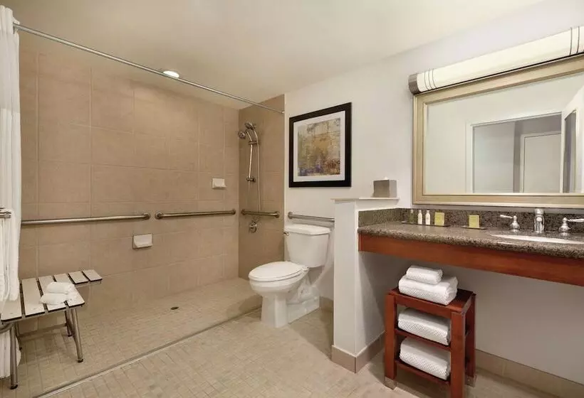 اتاق استاندارد برای معلولان, Doubletree By Hilton Hotel Albuquerque