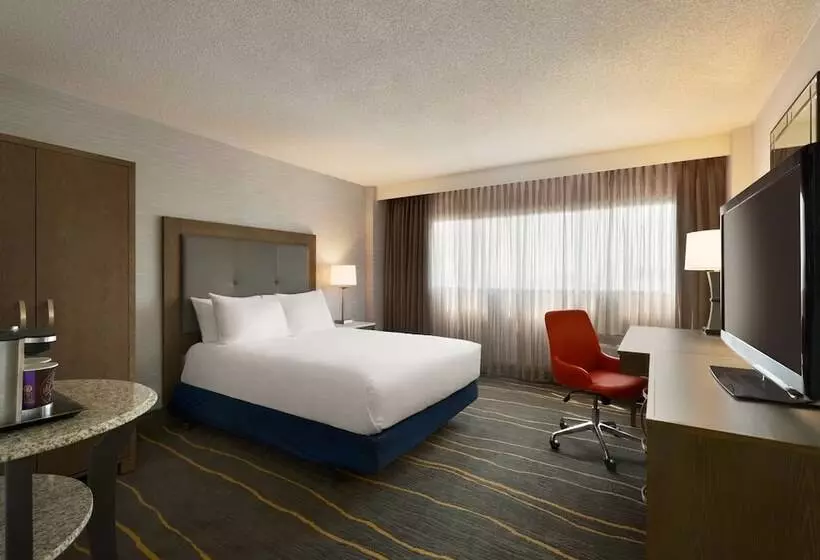 اتاق استاندارد برای معلولان, Doubletree By Hilton Hotel Albuquerque