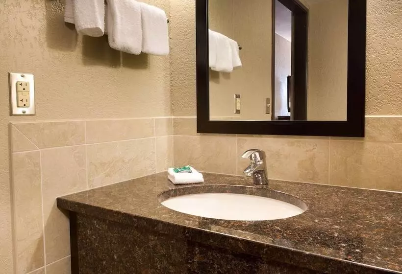 اتاق لوکس, Drury Inn & Suites Austin North