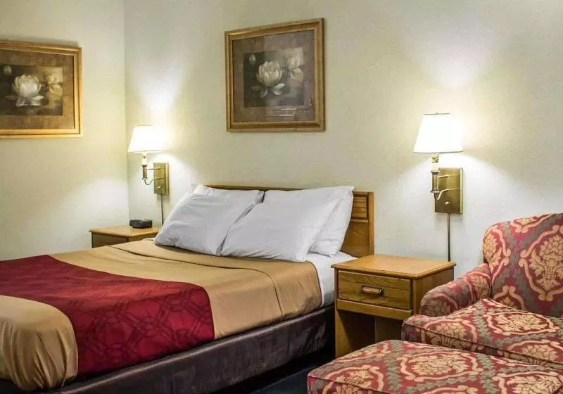キングサイズベッドのスタンダードルーム, Econo Lodge