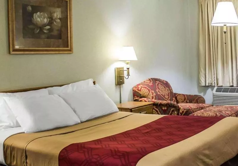 キングサイズベッドのスタンダードルーム, Econo Lodge