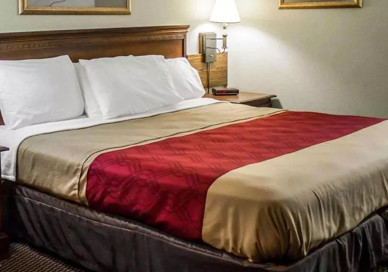 キングサイズベッドのスタンダードルーム, Econo Lodge