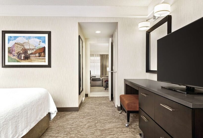 Люкс Адаптированный для Инвалидов, Embassy Suites By Hilton Chicago North Shore Deerfield
