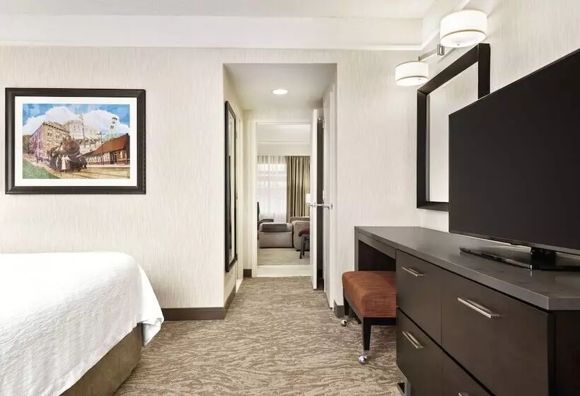 Sviitti Liikuntarajoitteisille, Embassy Suites By Hilton Chicago North Shore Deerfield