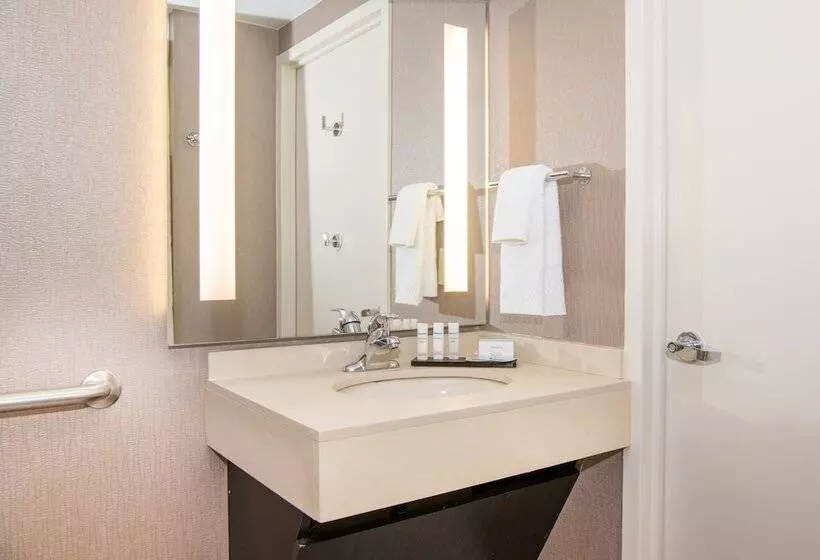 Sviitti Liikuntarajoitteisille, Embassy Suites By Hilton Chicago North Shore Deerfield
