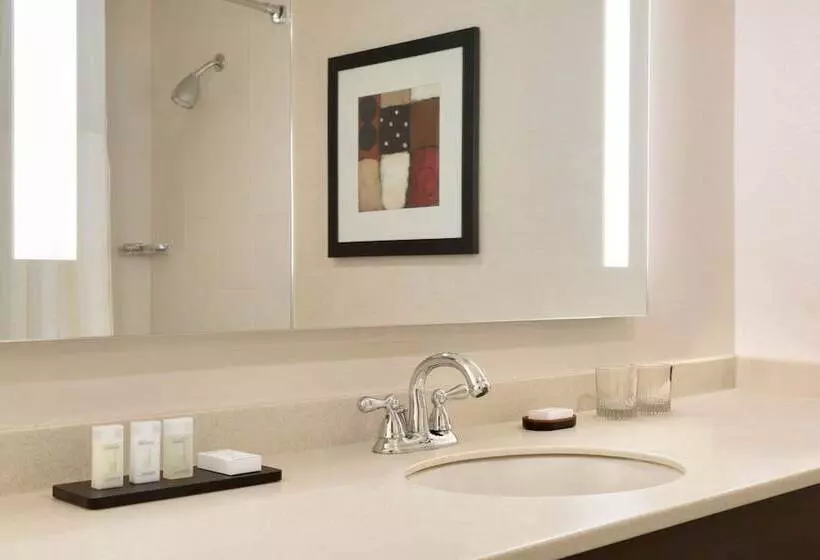 Premium-sviitti, Embassy Suites By Hilton Chicago North Shore Deerfield