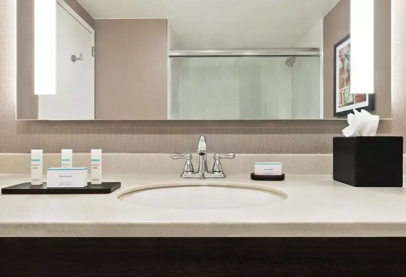 Premium-sviitti, Embassy Suites By Hilton Chicago North Shore Deerfield