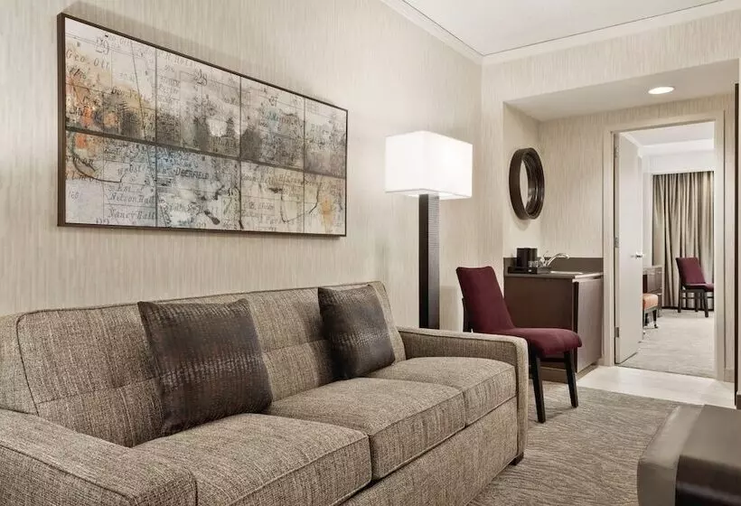 Premium-sviitti, Embassy Suites By Hilton Chicago North Shore Deerfield