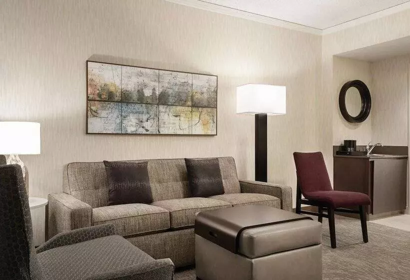 Sviitti, Embassy Suites By Hilton Chicago North Shore Deerfield