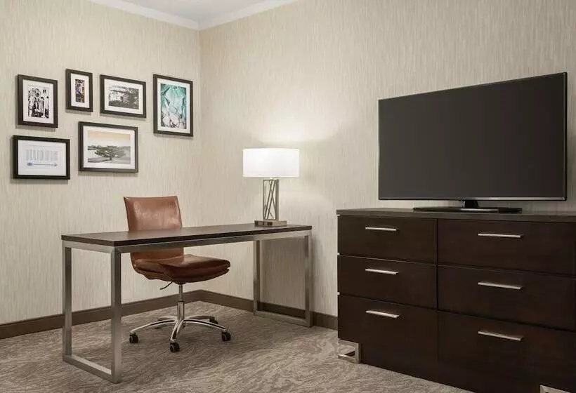 Sviitti, Embassy Suites By Hilton Chicago North Shore Deerfield