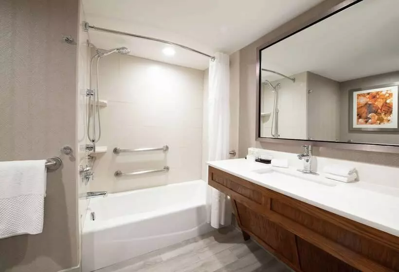身障者適用スイートルーム, Embassy Suites By Hilton Colorado Springs