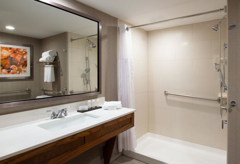 Люкс Адаптированный для Инвалидов, Embassy Suites By Hilton Colorado Springs