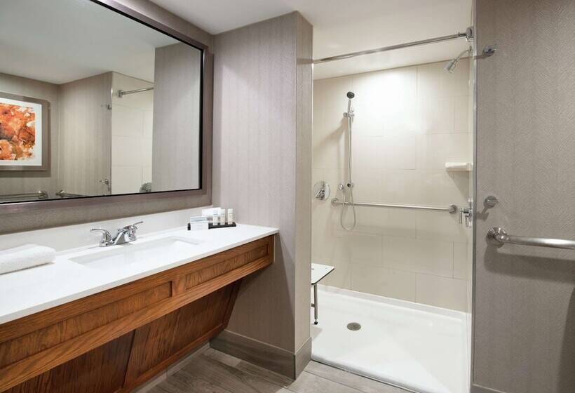 Люкс Адаптированный для Инвалидов, Embassy Suites By Hilton Colorado Springs