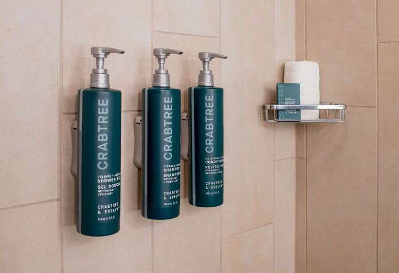 جناح, Embassy Suites By Hilton Milpitas Silicon Valley