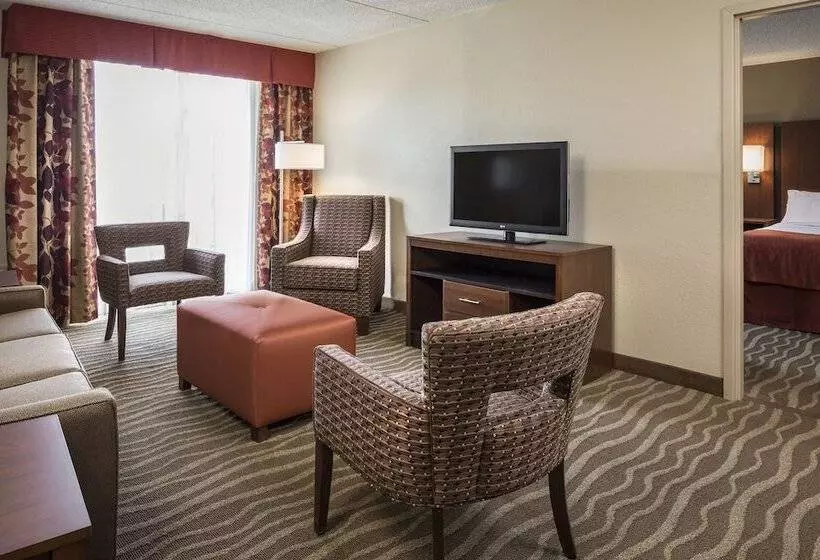 سوییت, Holiday Inn Hotel & Suites Des Moines Northwest, An Ihg