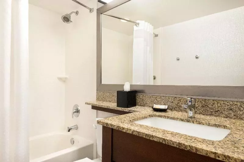 اتاق اجرایی با تخت بزرگ, Holiday Inn Hotel & Suites Des Moines Northwest, An Ihg