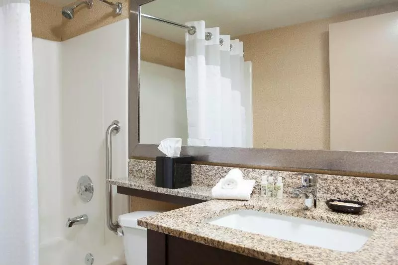 سوئیت با تخت بزرگ, Holiday Inn Hotel & Suites Des Moines Northwest, An Ihg