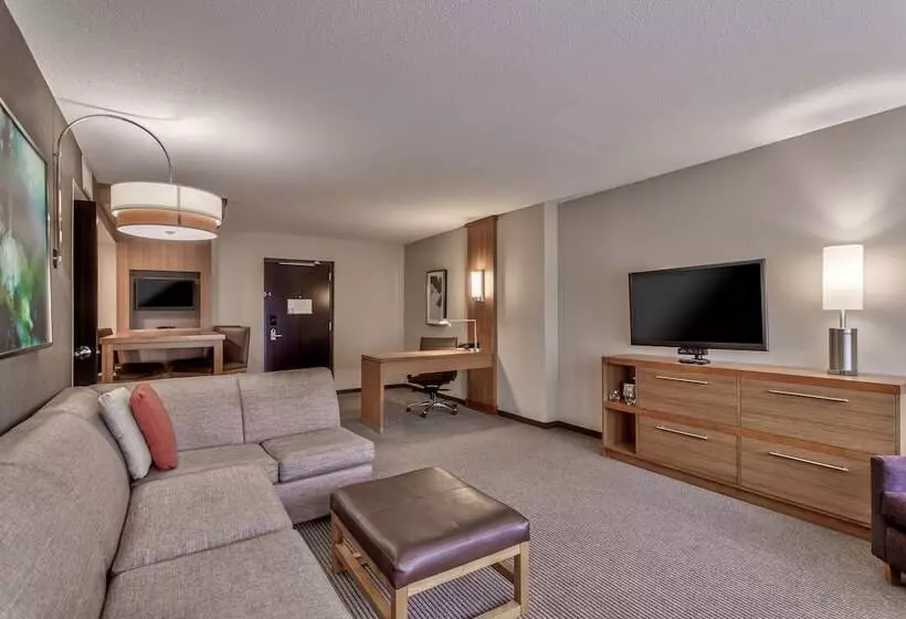 スイート, Hyatt Place Minneapolis/downtown
