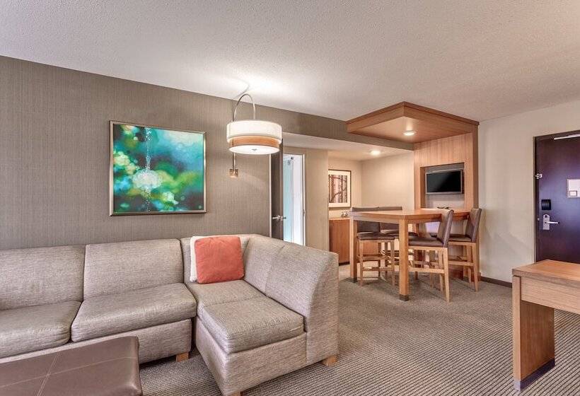 套房, Hyatt Place Minneapolis/downtown