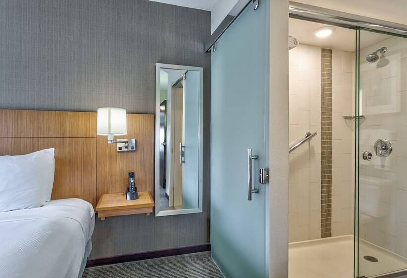 침실 2개 스위트, Hyatt Place Minneapolis/downtown