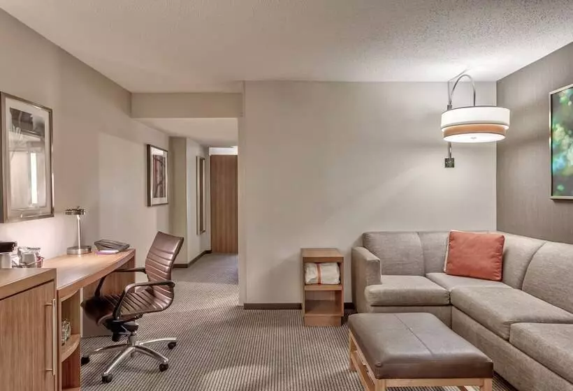 身障者適用スタンダードルーム, Hyatt Place Minneapolis/downtown