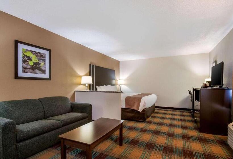 חדר סטנדרט עם מיטת קינג, Quality Inn Bloomsburg