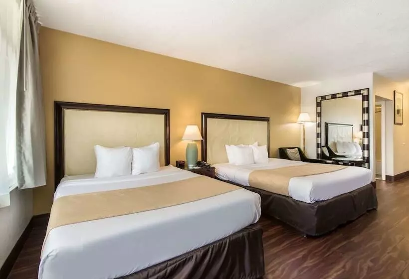 Standard-huone, Quality Inn Boca Raton University Area