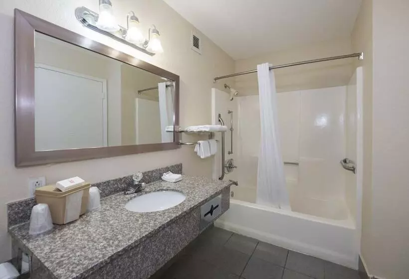身障者適用ダブルベッド付きスタンダードルーム, Red Roof Inn Mobile  Midtown