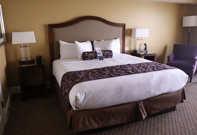 标准间, The Edgewater