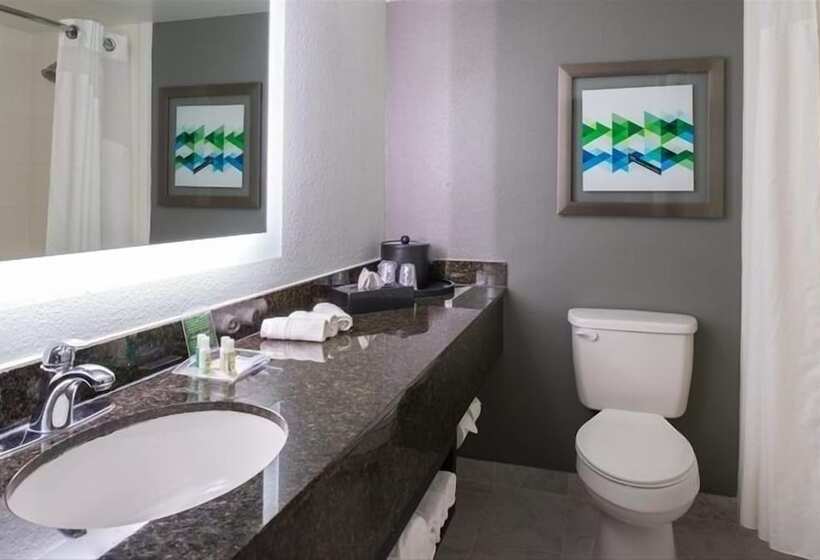 스탠다드 룸 더블 침대 2개, Holiday Inn Hotel And Suites Beaumont Plaza I 10 & Walden, An Ihg