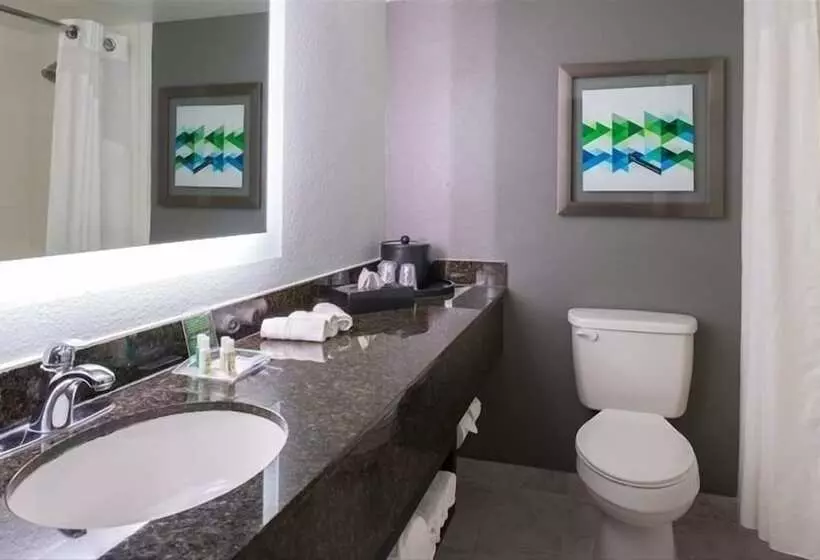 ２ダブルベッドのスタンダードルーム, Holiday Inn Hotel And Suites Beaumont Plaza I 10 & Walden, An Ihg