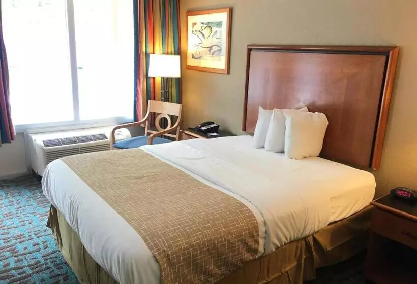 キングサイズベッドのスタンダードルーム, Quality Inn