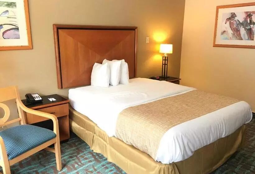 キングサイズベッドのデラックススイート, Quality Inn