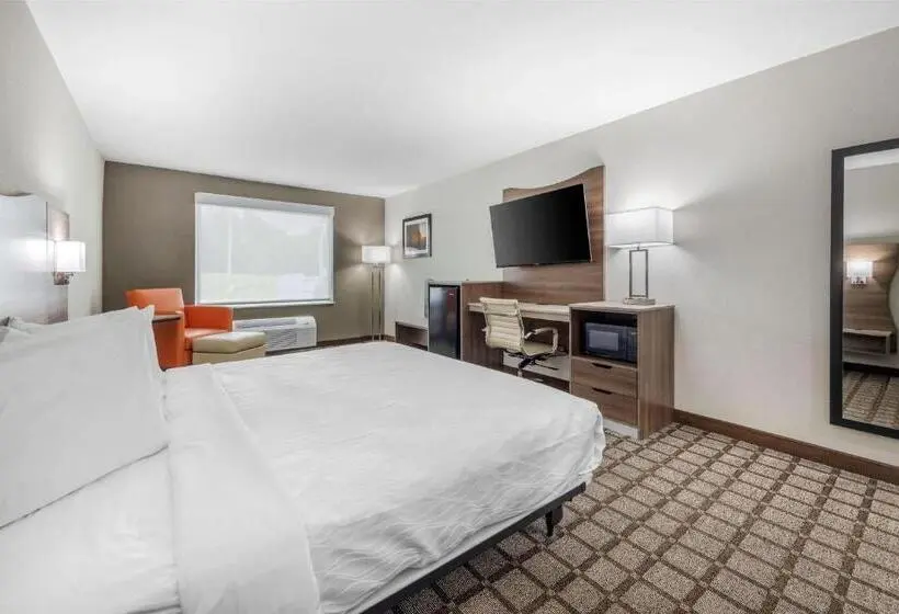 身障者適用キングサイズベッドルーム, Best Western Manchester