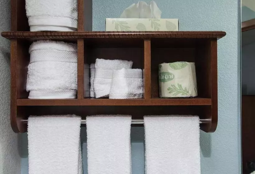 اتاق لوکس با تخت بزرگ, The Hotel At Dayton South