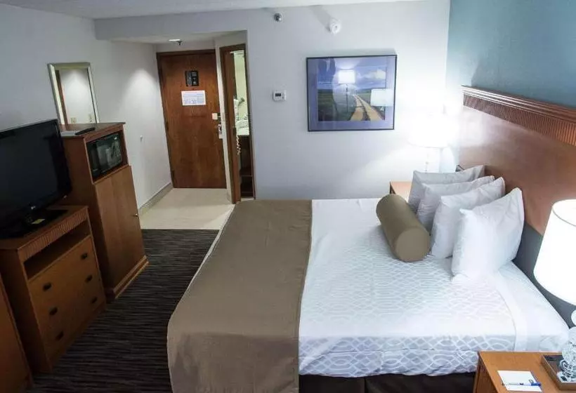 اتاق استاندارد با تخت بزرگ, The Hotel At Dayton South