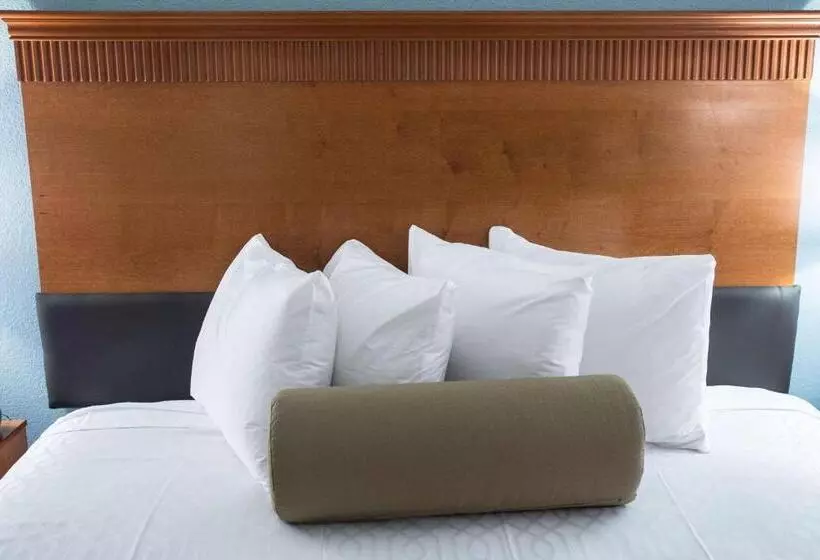 اتاق استاندارد با تخت بزرگ, The Hotel At Dayton South