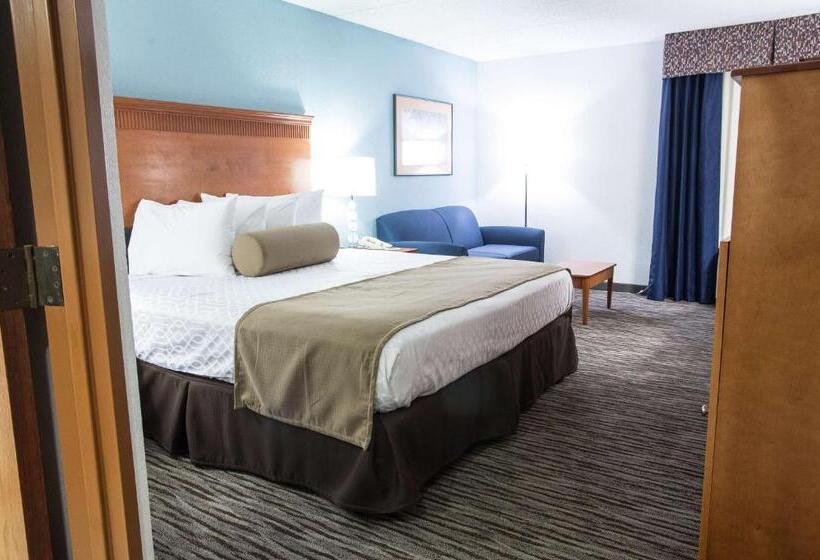اتاق استاندارد با تخت بزرگ, The Hotel At Dayton South