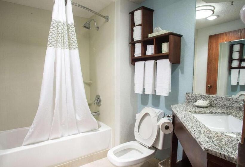 اتاق استاندارد با تخت بزرگ, The Hotel At Dayton South
