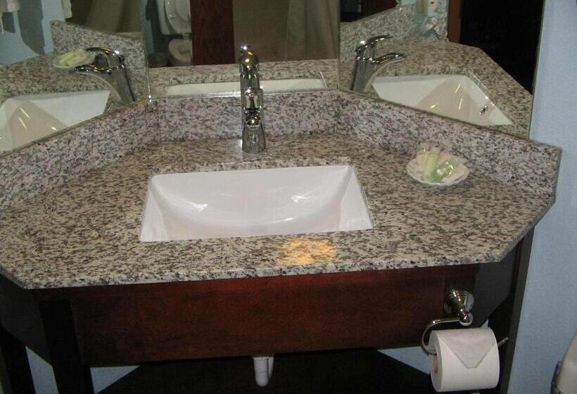 غرفة قياسية لذوى الاحتياجات الخاصة, The Hotel At Dayton South