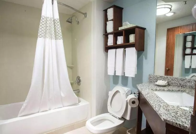 اتاق استاندارد برای معلولان, The Hotel At Dayton South