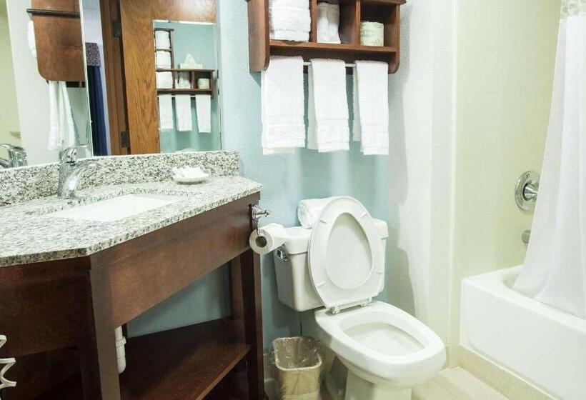 غرفة ديلوكس سرير كينج, The Hotel At Dayton South