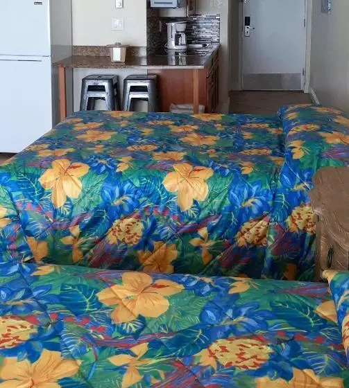 海の見えるスタンダードスタジオ, Daytona Beach Hawaiian Inn