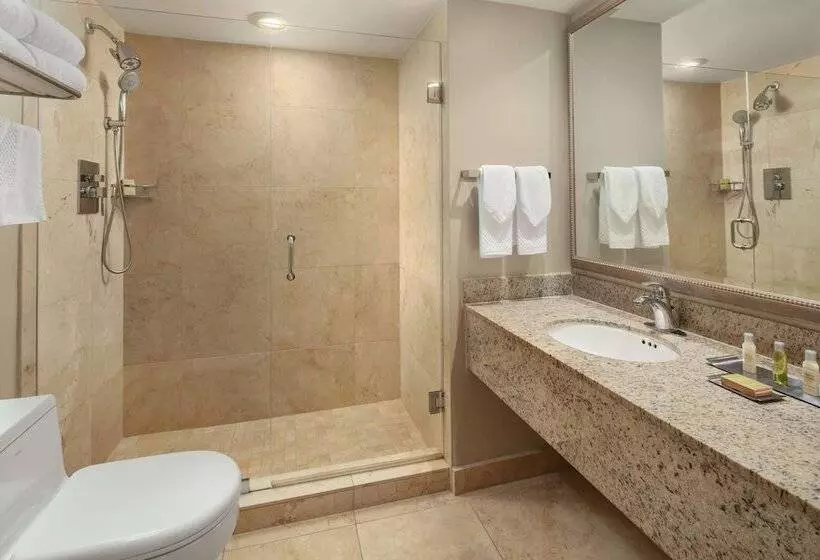 اتاق استاندارد با تخت دوبل و چشم‌انداز پارک, Doubletree By Hilton Grand Hotel Biscayne Bay