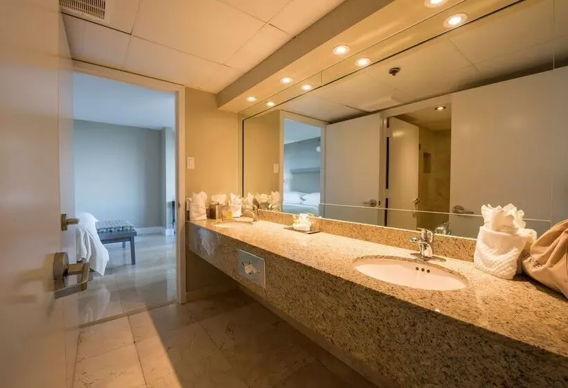 سوئیت جونیور با چشم‌انداز, Doubletree By Hilton Grand Hotel Biscayne Bay