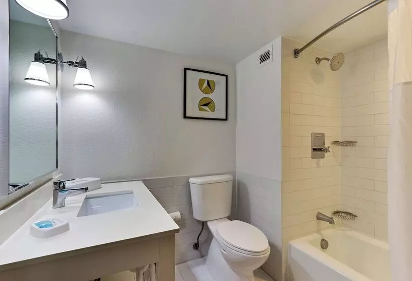 חדר דלוקס מותאם לאנשים עם מוגבלויות, Wyndham Garden San Antonio Airport