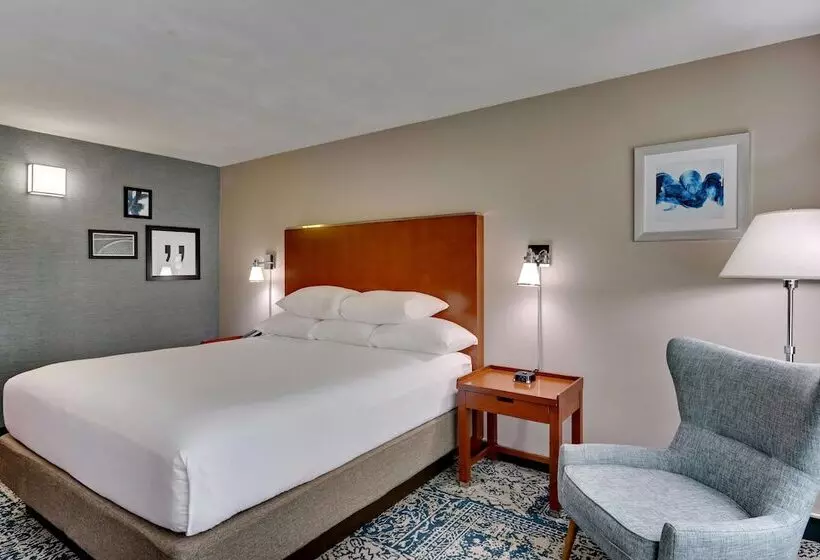 חדר דלוקס מותאם לאנשים עם מוגבלויות, Wyndham Garden San Antonio Airport