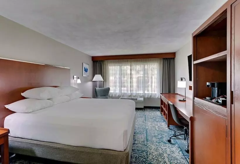 חדר דלוקס מותאם לאנשים עם מוגבלויות, Wyndham Garden San Antonio Airport