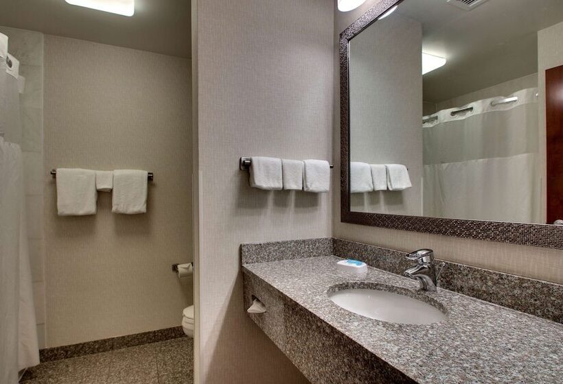 סוויטה, Drury Inn & Suites Findlay