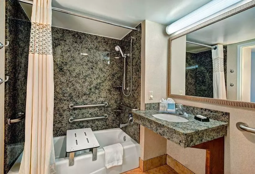 اتاق استاندارد برای معلولان, Hampton Inn Lake Havasu City